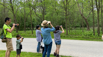 image BIRDING FOR BEGINNERS
