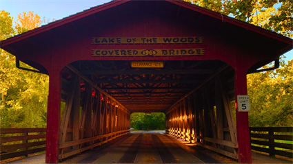 Bats at the Bridge