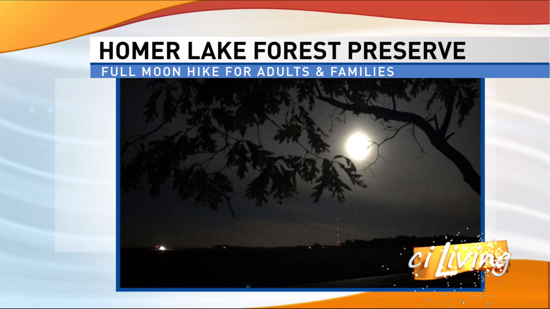 Moon Hikes, Yoga in the Woods, and an Owl Prowl