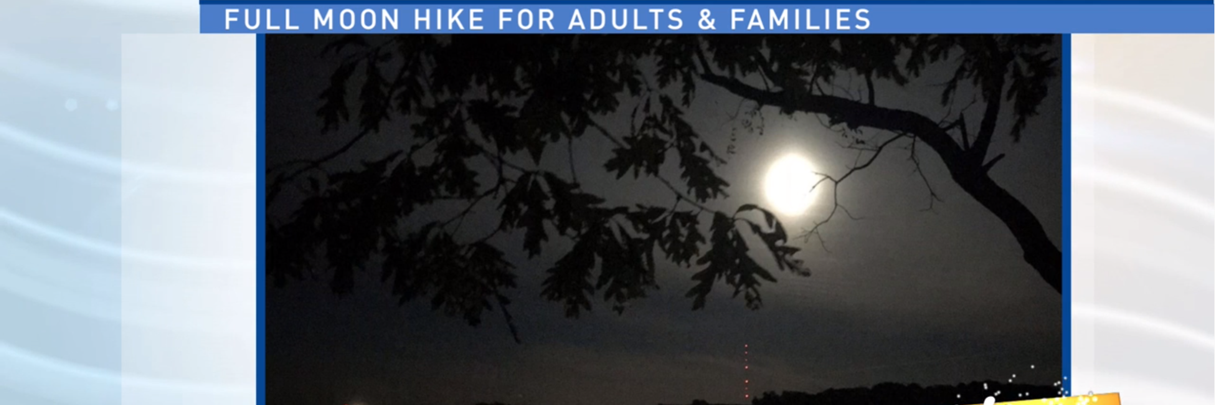 Moon Hikes, Yoga in the Woods, and an Owl Prowl