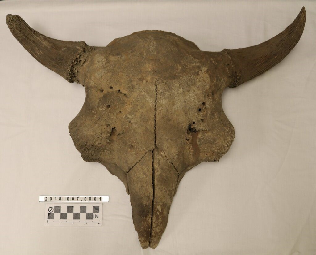 MGP Blog | Museum of the Grand Prairie
