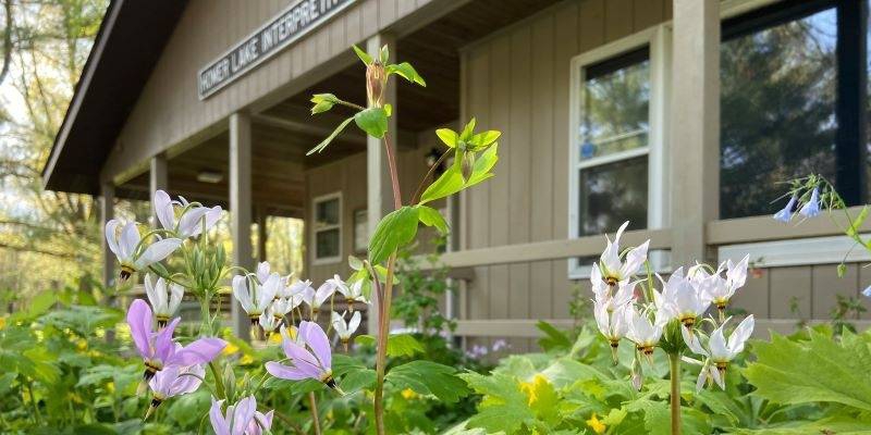 Champaign County Forest Preserve District is Opening Facilities on a ...