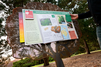 Vanishing Acts: Trees Under Threat