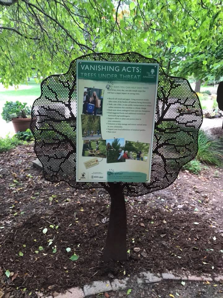Vanishing Acts is located on the "Timberdoodle Trail" in at Homer Lake Forest Preserve