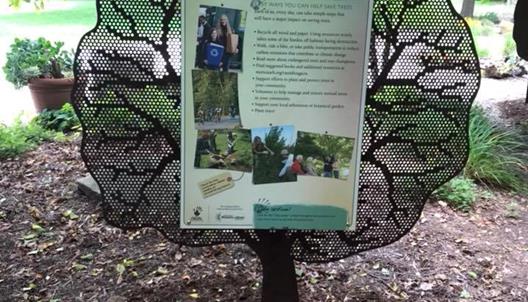 Vanishing Acts is located on the "Timberdoodle Trail" in at Homer Lake Forest Preserve